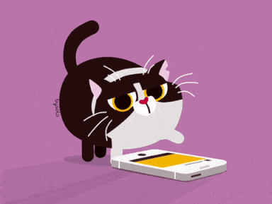 Fran Solo via Giphy