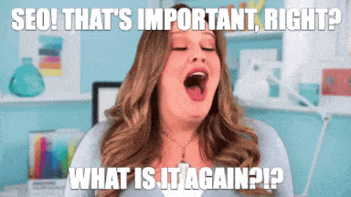 SEO! That's important, right? What is it again?!?
